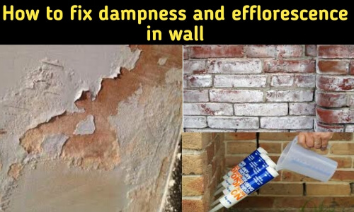 How To Fix Damp Walls The Total Fix