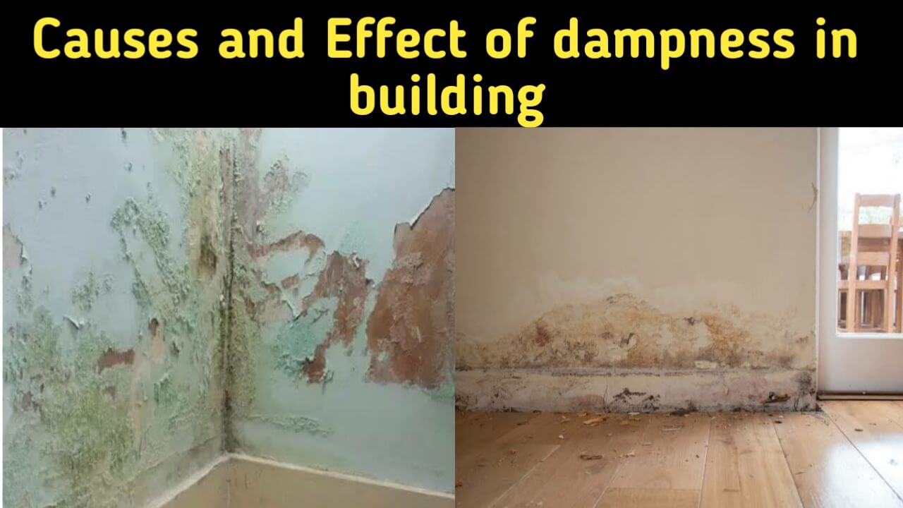 causes and effect of dampness